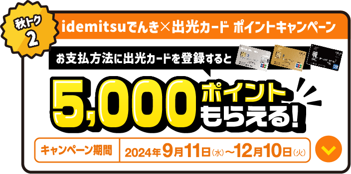 idemitsuでんき×出光カード ポイントキャンペーン
					お支払方法に出光カードを登録すると5,000ポイントもらえる！
					キャンペーン期間：2024年9月11日～12月10日