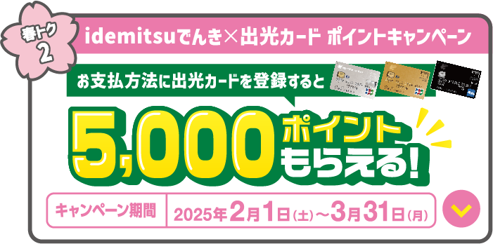 idemitsuでんき×出光カード ポイントキャンペーン
					お支払方法に出光カードを登録すると5,000ポイントもらえる！
					キャンペーン期間：2025年2月1日～3月31日